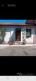 casa indipendente 