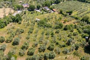 Terreno di 5460 m² a Salisano