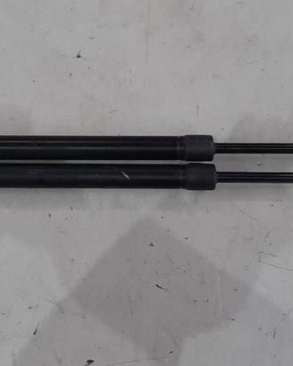 FIAT DOBLO 2009 - AMMORTIZZATORI PORTELLONE POSTER