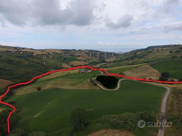 Azienda Agricola tra Silvi, Pineto e Atri