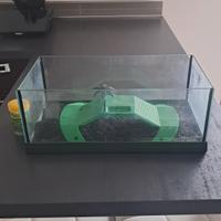 teca o mini acquario 
