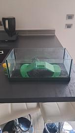 teca o mini acquario 