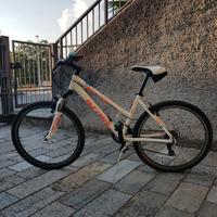 Mtb ragazza 9-14 anni