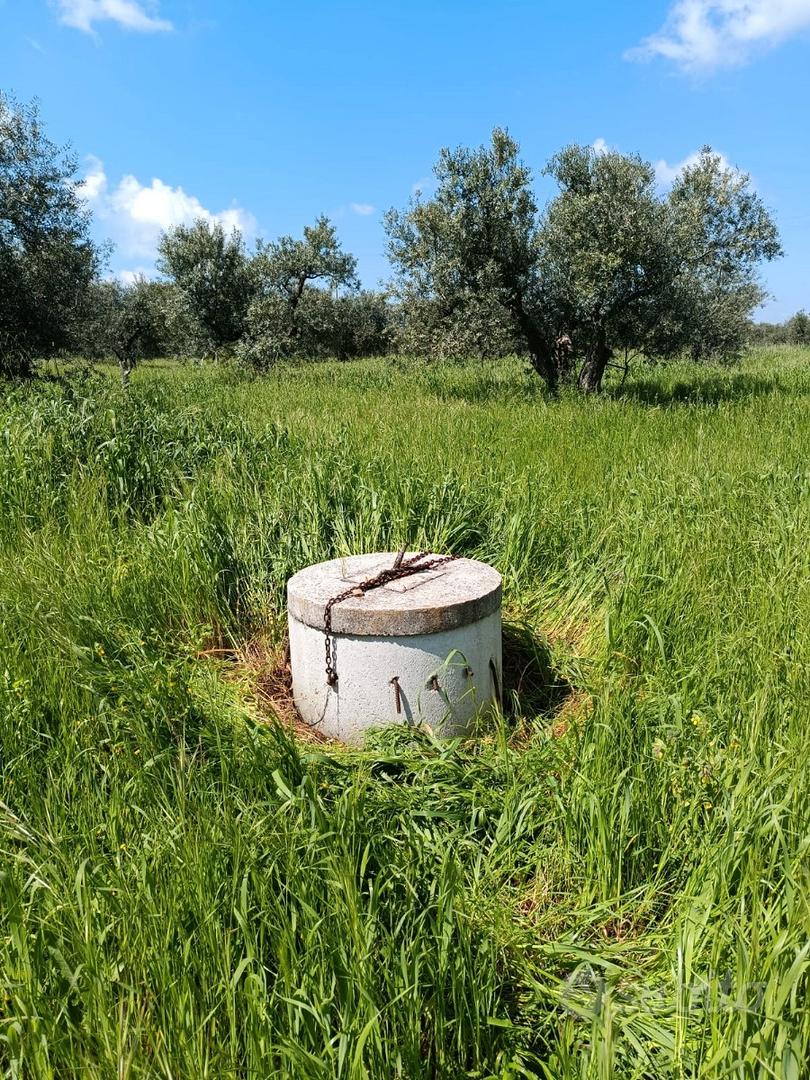 Terreni a Venosa - Vista 3