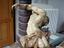 Immagine 2