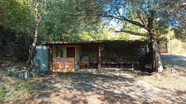 Terreno agricolo con fabbricato e vigneto