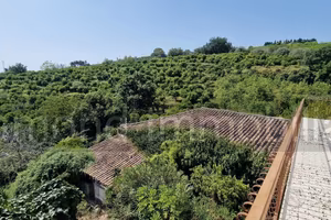 Terreno con fabbricati a Giarre