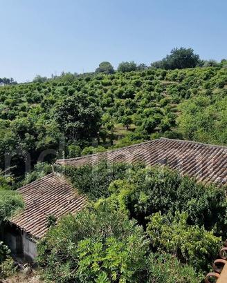 Terreno con fabbricati a Giarre
