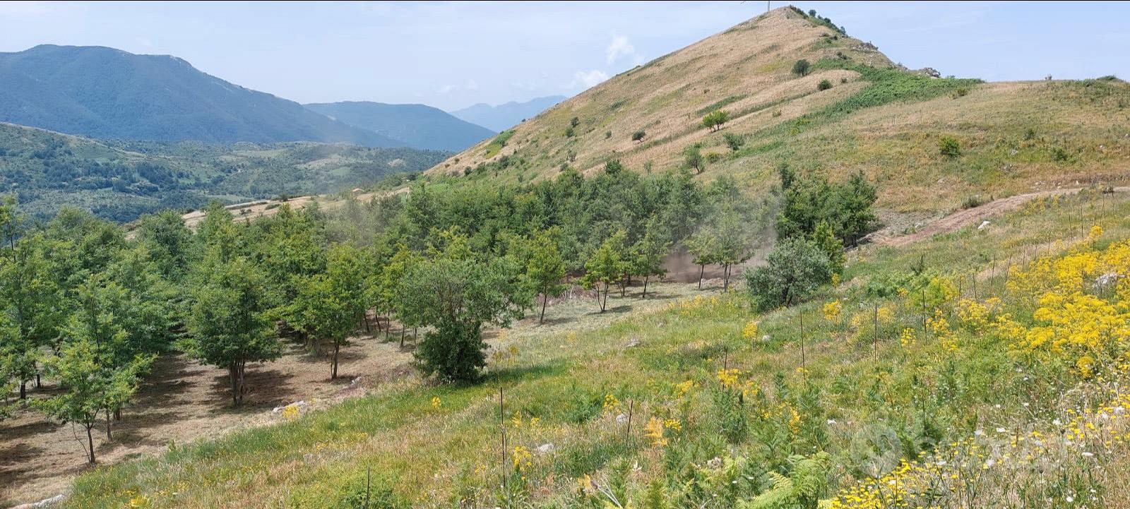 Terreno agricolo con bosco - Vista 2