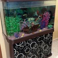 Acquario con Mobile