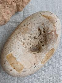 Pietra da collezione levigata dall'acqua