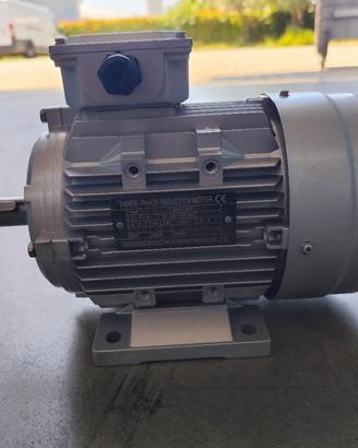 Motore elettrico trifase nuovo Mod. YE3-90S-4