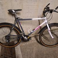 bicicletta mountain bike
