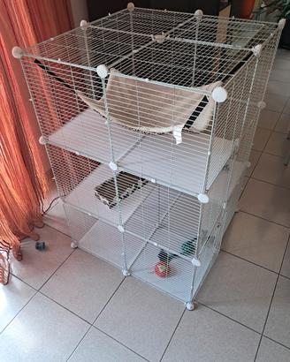 gabbia gatto bianca