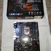 Scheda Madre Asus Prime B250 Plus
