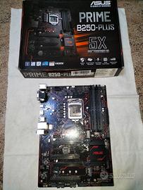 Scheda Madre Asus Prime B250 Plus