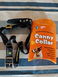 collare da addestramento