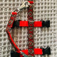 Pettorina doppia H  e guinzaglio coordinati