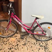 Bicicletta mountain bike