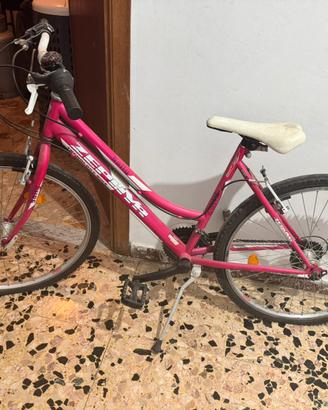Bicicletta mountain bike