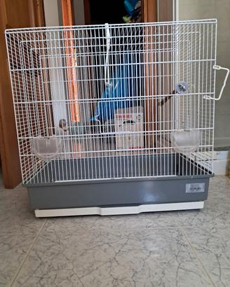 Gabbia 60 cm