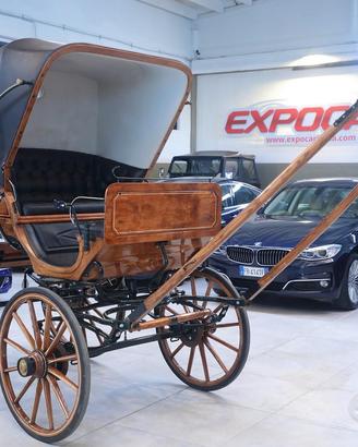 Carrozza cavalli singolo/pariglia Dottorina NUOVA