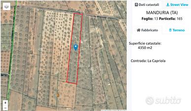 Terreno agricolo uliveto Sava