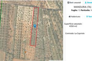 Terreno agricolo uliveto Sava