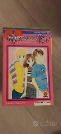 Manga marmelade boy