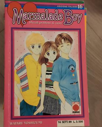 Manga marmelade boy