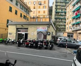 ATTIVITÀ A GENOVA