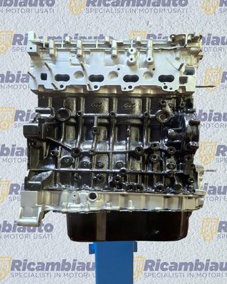Motore Revisionato AH03