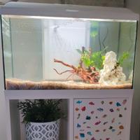Acquario con accessori utili e mobile!!