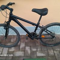 bicicletta ragazzo raggio 24