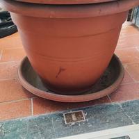vasi per piante