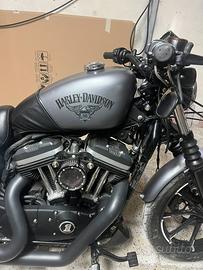 Harley davidson sposter 883 iron