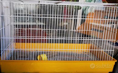 Gabbia per uccelli