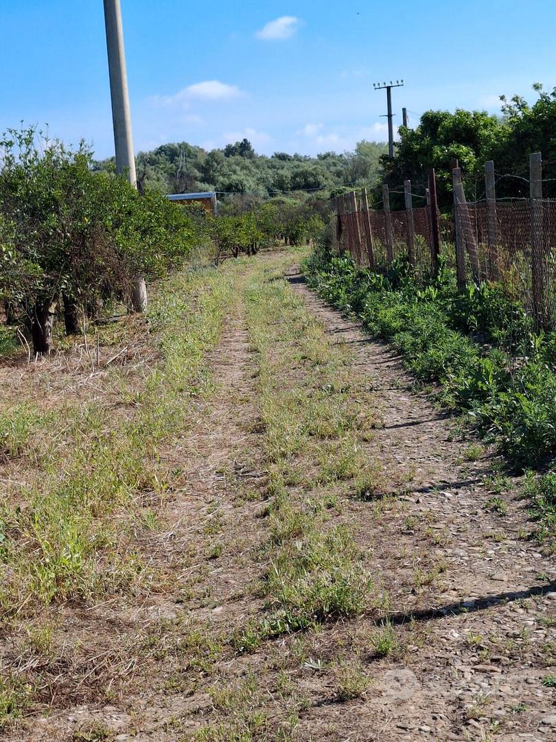 Terreno agricolo con annessa casa. - Vista 3
