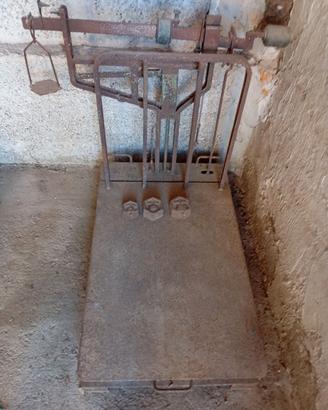 pesa a bascula