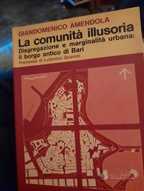 LA  COMUNITA'   ILLUSORIA
