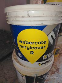 Webercote  acrycover R  25kg