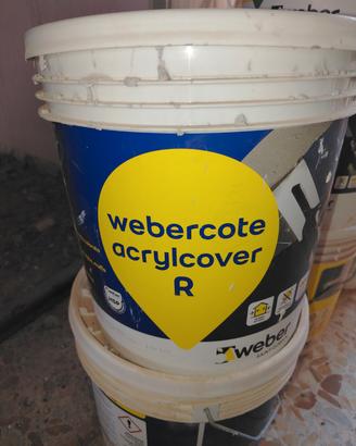 Webercote  acrycover R  25kg