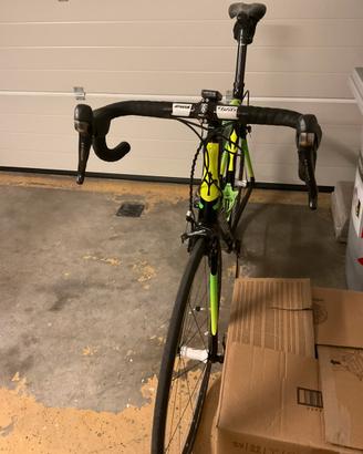 Wilier triestina
