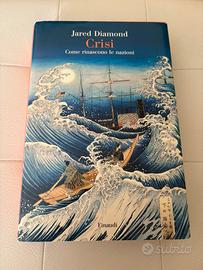 CRISI come rinascono le nazioni