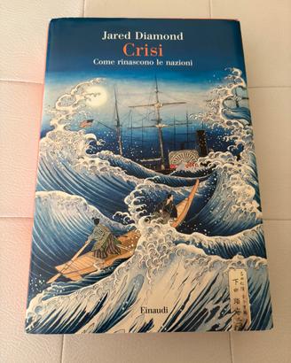 CRISI come rinascono le nazioni