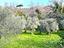 Immagine 8