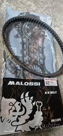 cinghia  malissimo booster mbk