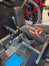 leg extension e leg curl 