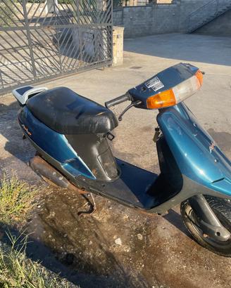 Aprilia amico