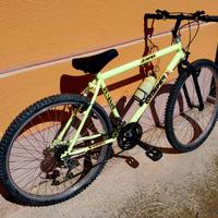 Montain bike 